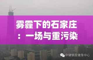 雾霾下的石家庄：一场与重污染的“较量”