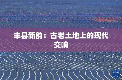 丰县新韵:古老土地上的现代交响