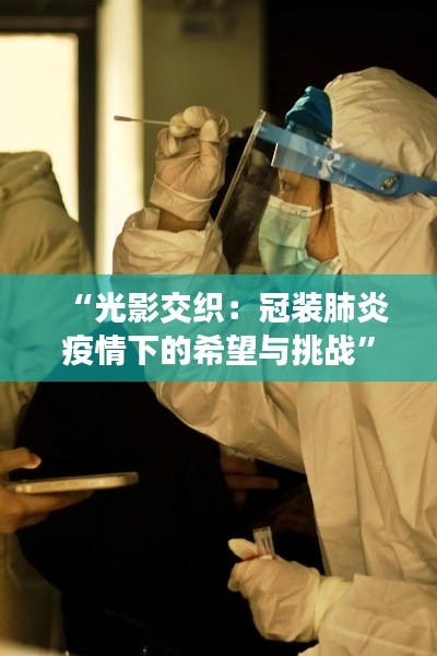 合作流程 第286页