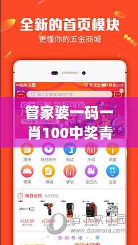 管家婆一码一肖100中奖青岛,实地计划验证数据_高级款45.979
