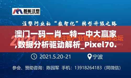 澳门一码一肖一特一中大羸家,数据分析驱动解析_Pixel70.608
