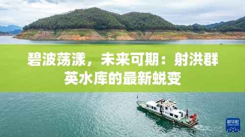 展翅高飞 第5页