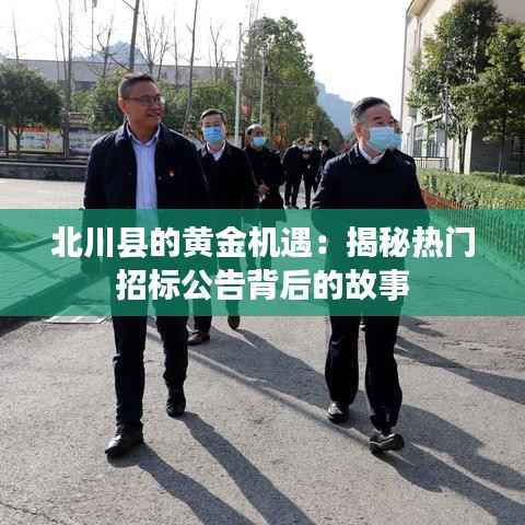 北川县的黄金机遇：揭秘热门招标公告背后的故事