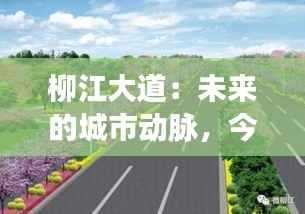 柳江大道:未来的城市动脉,今日的最新动态