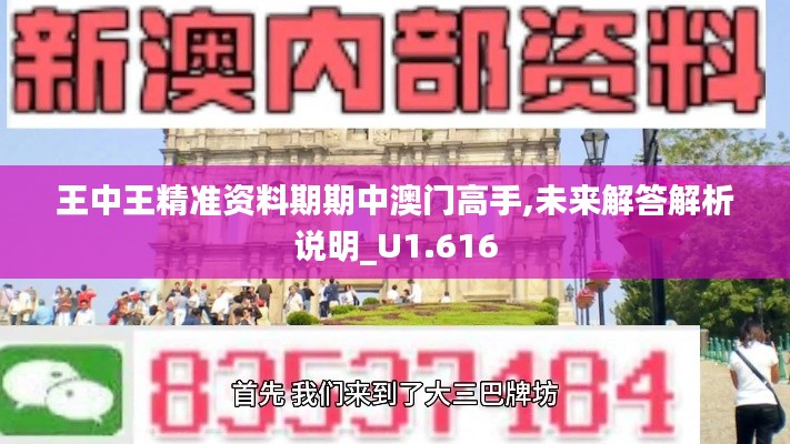 王中王精准资料期期中澳门高手,未来解答解析说明_U1.616
