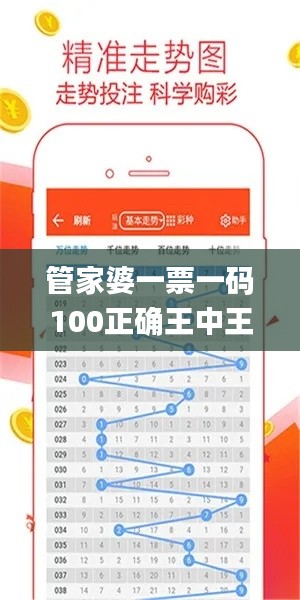 管家婆一票一码100正确王中王,实地验证分析策略_安卓10.303