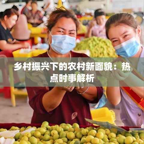 合作流程 第244页