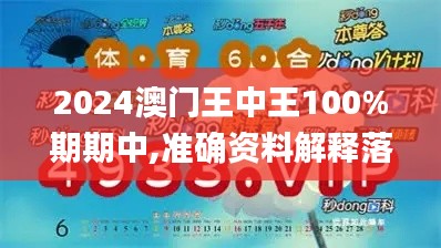 2024澳门王中王100%期期中,准确资料解释落实_Windows14.639