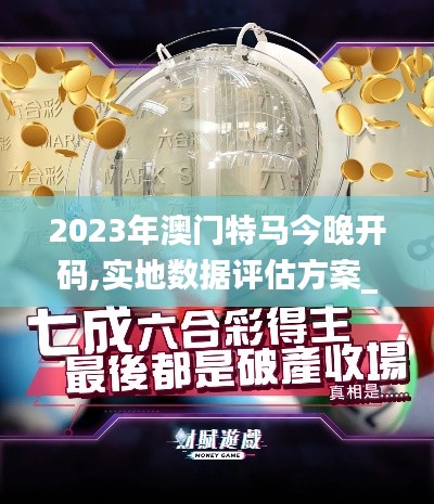 2023年澳门特马今晚开码,实地数据评估方案_iPad6.554