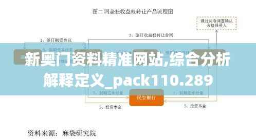 新奥门资料精准网站,综合分析解释定义_pack110.289