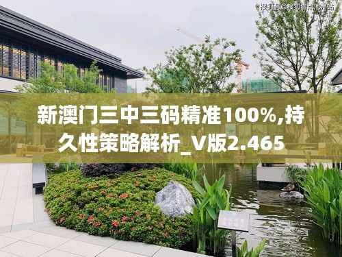 新澳门三中三码精准100%,持久性策略解析_V版2.465