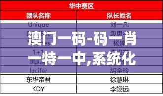 澳门一码-码一肖一特一中,系统化推进策略研讨_Device10.242