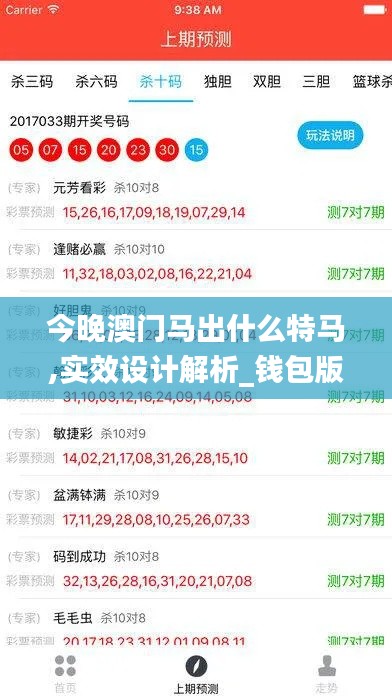 今晚澳门马出什么特马,实效设计解析_钱包版2.690