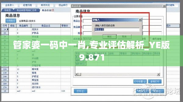 管家婆一码中一肖,专业评估解析_YE版9.871