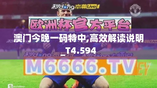 澳门今晚一码特中,高效解读说明_T4.594