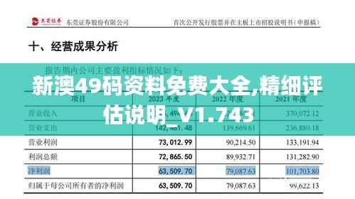 新澳49码资料免费大全,精细评估说明_V1.743
