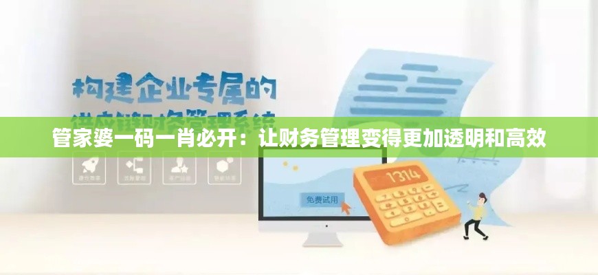 管家婆一码一肖必开:让财务管理变得更加透明和高效