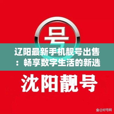 辽阳最新手机靓号出售：畅享数字生活的新选择