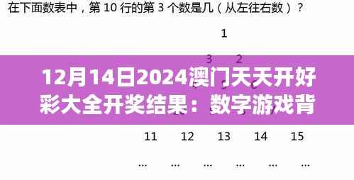 12月14日2024澳门天天开好彩大全开奖结果:数字游戏背后的哲学