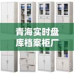 青海实时盘库档案柜厂:守护档案安全的智能守护者
