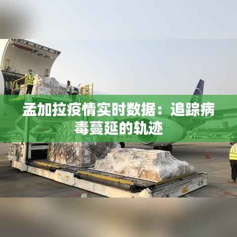 孟加拉疫情实时数据：追踪病毒蔓延的轨迹