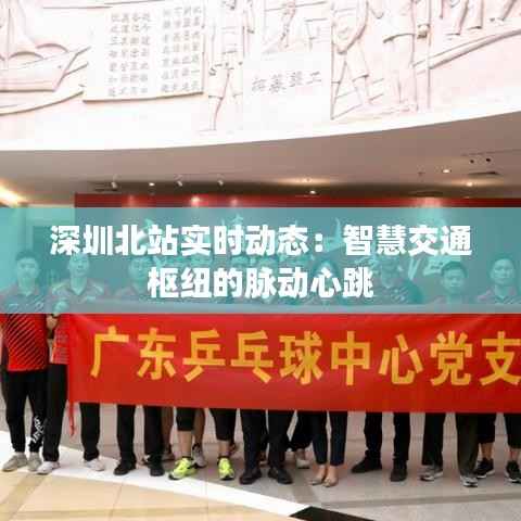 深圳北站实时动态：智慧交通枢纽的脉动心跳