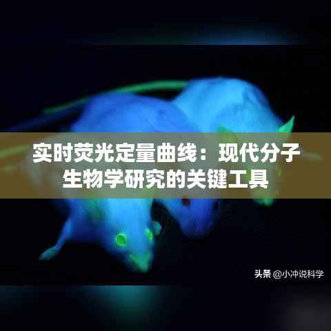 实时荧光定量曲线：现代分子生物学研究的关键工具