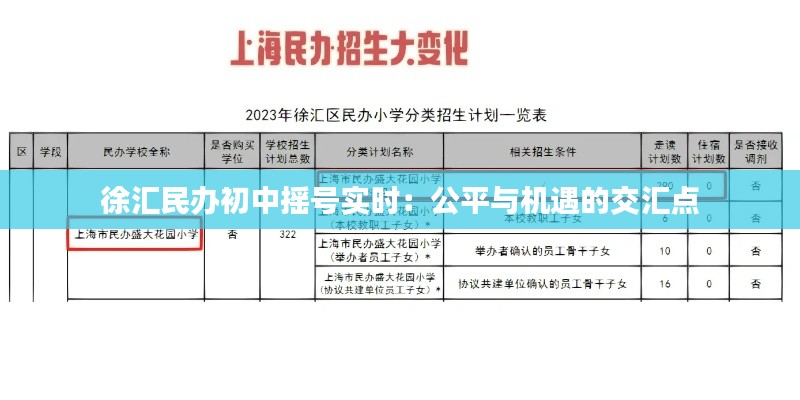 徐汇民办初中摇号实时：公平与机遇的交汇点