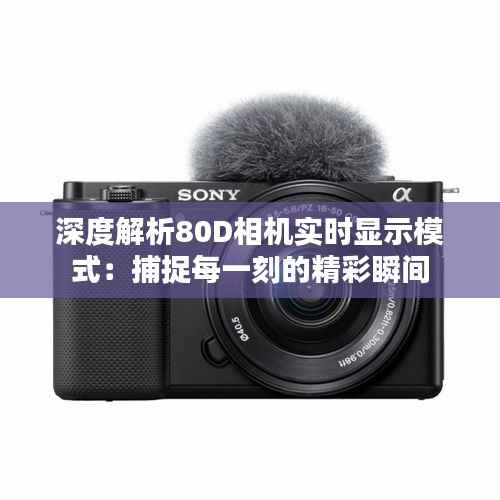 深度解析80D相机实时显示模式:捕捉每一刻的精彩瞬间