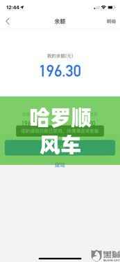 哈罗顺风车订单实时位置：科技革新下的出行体验升级