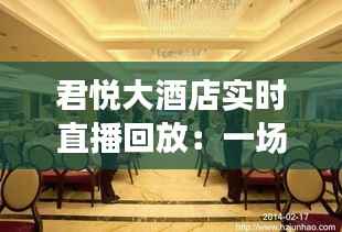 君悦大酒店实时直播回放：一场视觉与味觉的盛宴