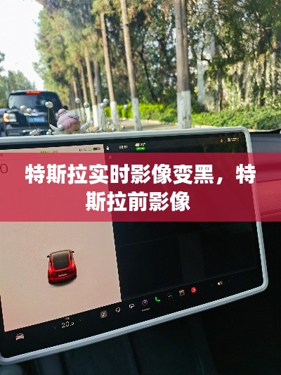 特斯拉实时影像变黑,特斯拉前影像