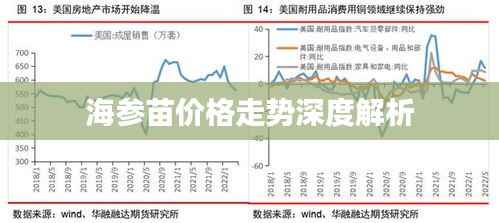 海参苗价格走势深度解析