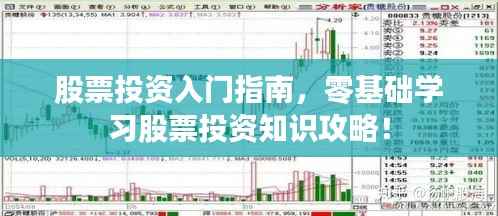 股票投资入门指南，零基础学习股票投资知识攻略！