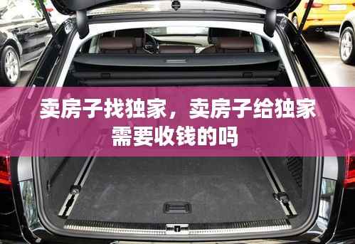卖房子找独家,卖房子给独家需要收钱的吗