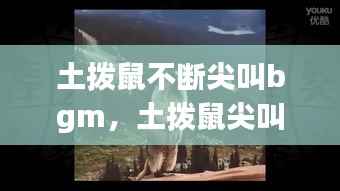 土拨鼠不断尖叫bgm,土拨鼠尖叫的视频
