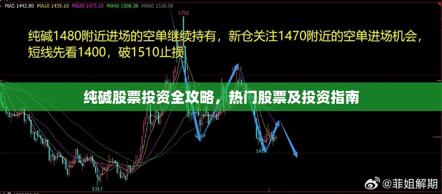 纯碱股票投资全攻略，热门股票及投资指南