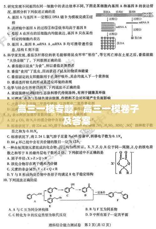 高三一模专题,高三一模卷子及答案