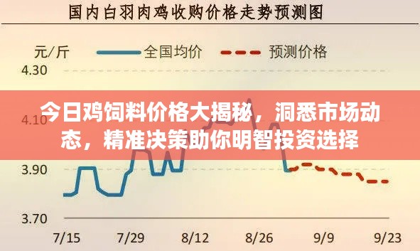 今日鸡饲料价格大揭秘,洞悉市场动态,精准决策助你明智投资选择