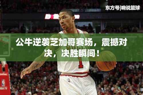 公牛逆袭芝加哥赛场，震撼对决，决胜瞬间！