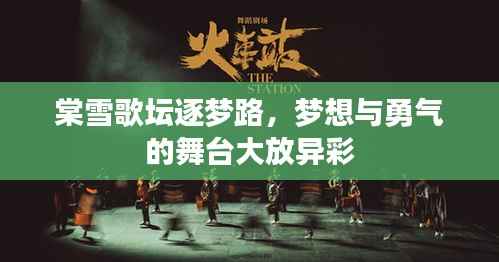 棠雪歌坛逐梦路，梦想与勇气的舞台大放异彩