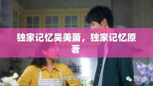 独家记忆吴美萧,独家记忆原著