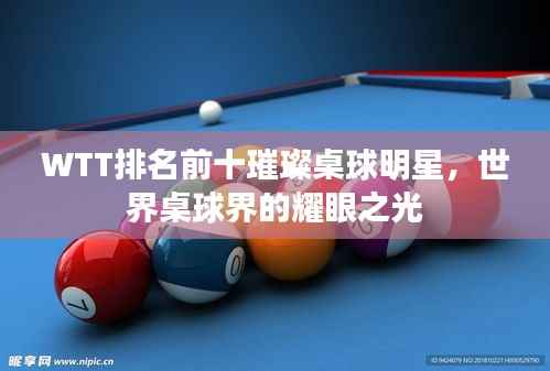 WTT排名前十璀璨桌球明星，世界桌球界的耀眼之光