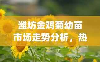 潍坊金鸡菊幼苗市场走势分析，热门行情揭秘
