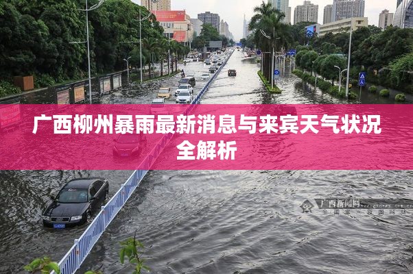 广西柳州暴雨最新消息与来宾天气状况全解析