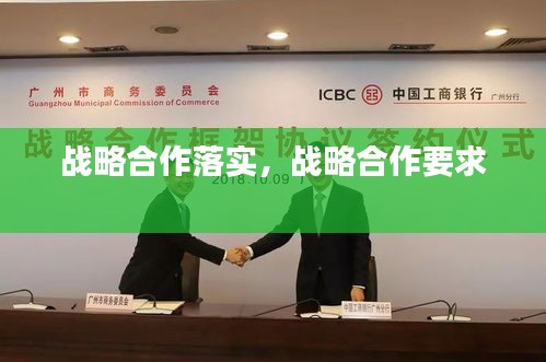 战略合作落实，战略合作要求 