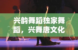 兴韵舞蹈独家舞蹈,兴舞唐文化传媒有限公司