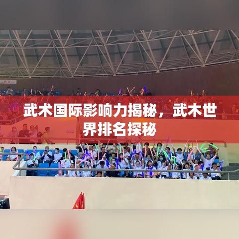 武术国际影响力揭秘，武木世界排名探秘