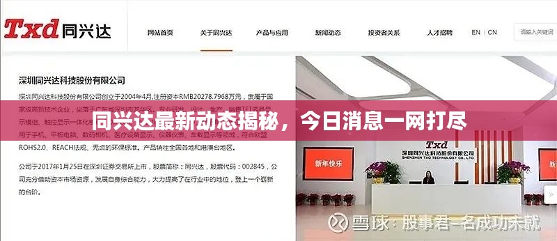 同兴达最新动态揭秘,今日消息一网打尽