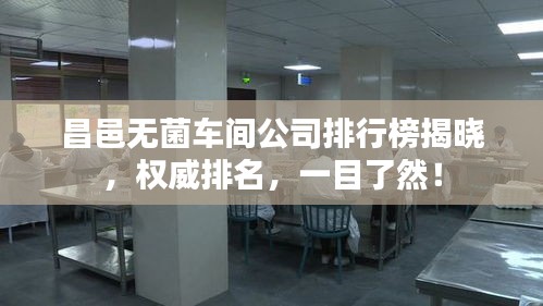 昌邑无菌车间公司排行榜揭晓,权威排名,一目了然!
